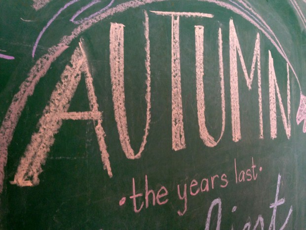 fall chalkboard artwork 6