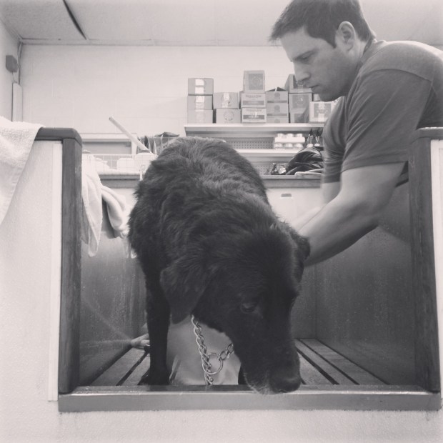 getting a bath 2:2014