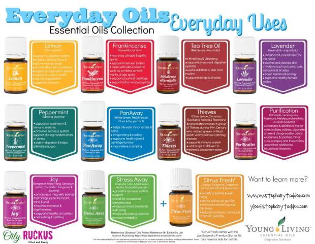 YLEOC - stephany taddeo