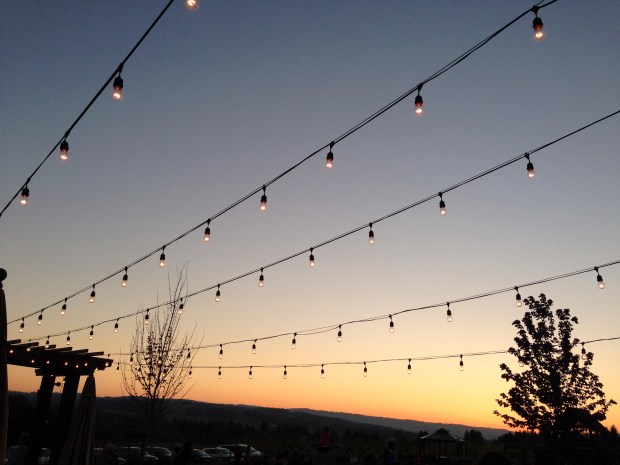 family fun night at baggenstos