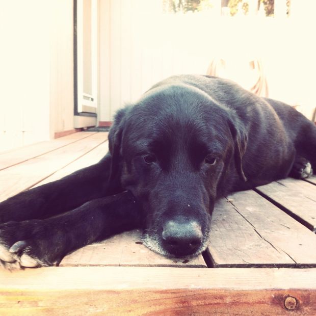 just hanging 10:2011