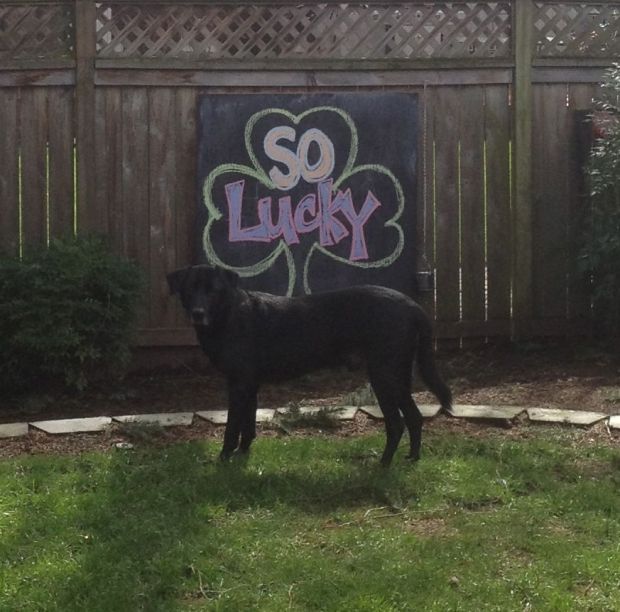 thought we would lose him then 3:2012