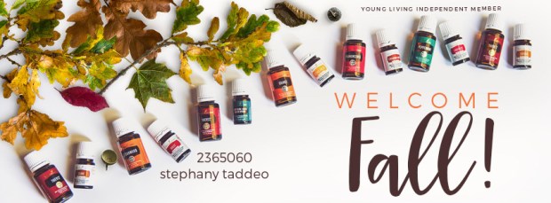 c18ccaf457eac323d3ee7-2740-fall-facebook-header