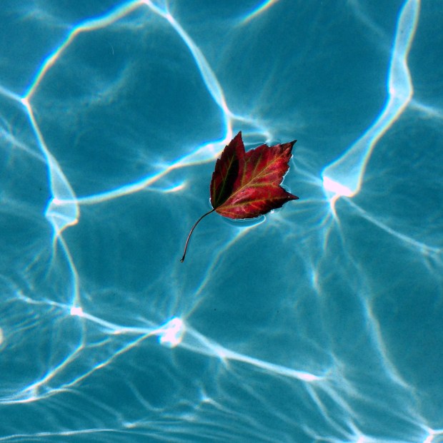 when summer meets fall 4