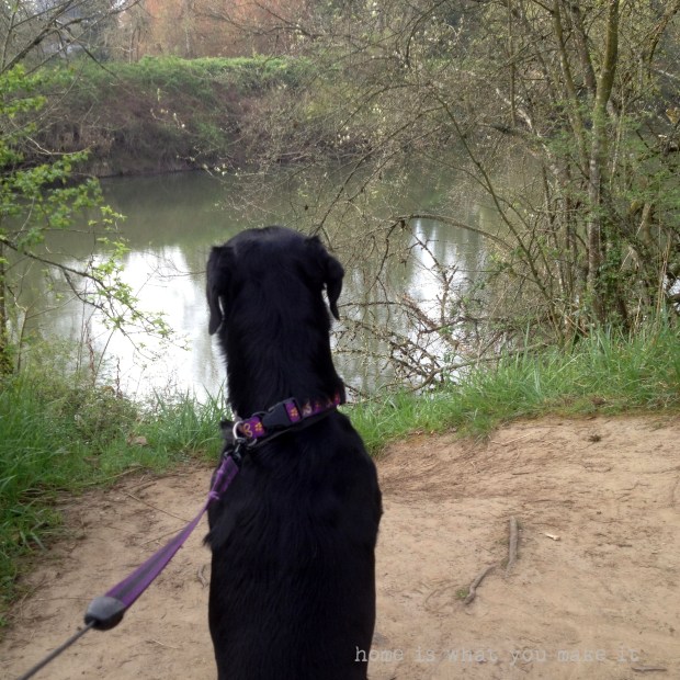 hello friday 4.5.2013 10