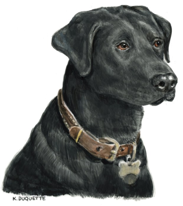 {july 7} grand river hoji ben 2