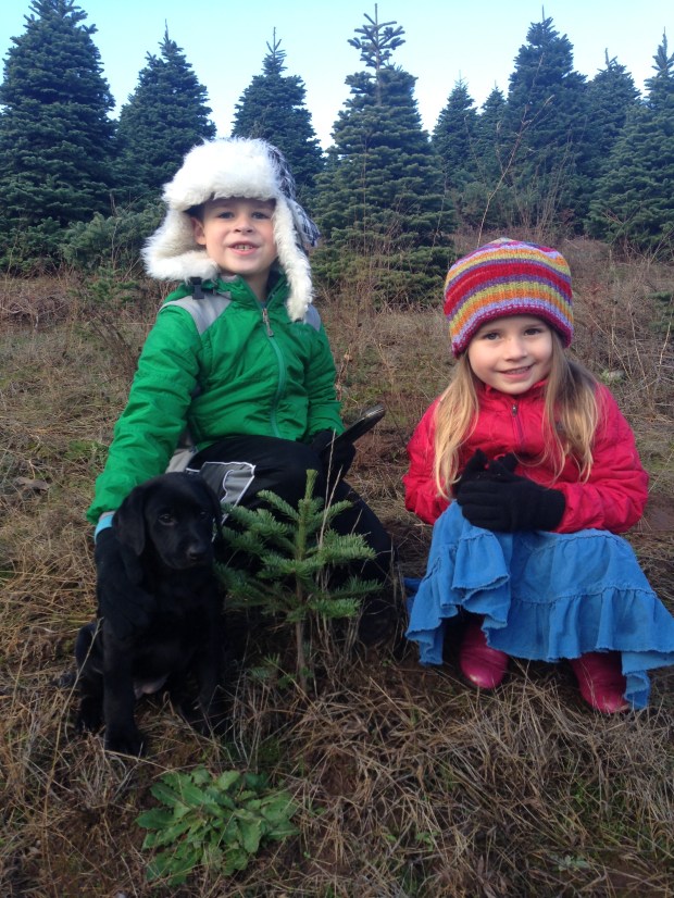 reece rain and lorelai