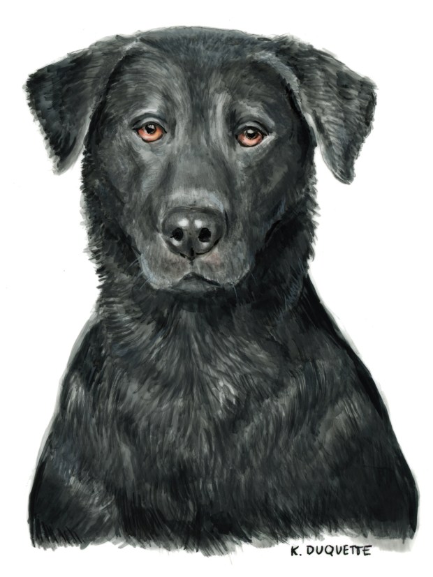 {july 7} grand river hoji ben 1