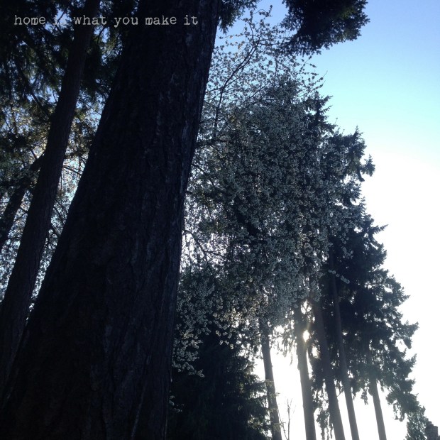 hello friday 4.5.2013 1