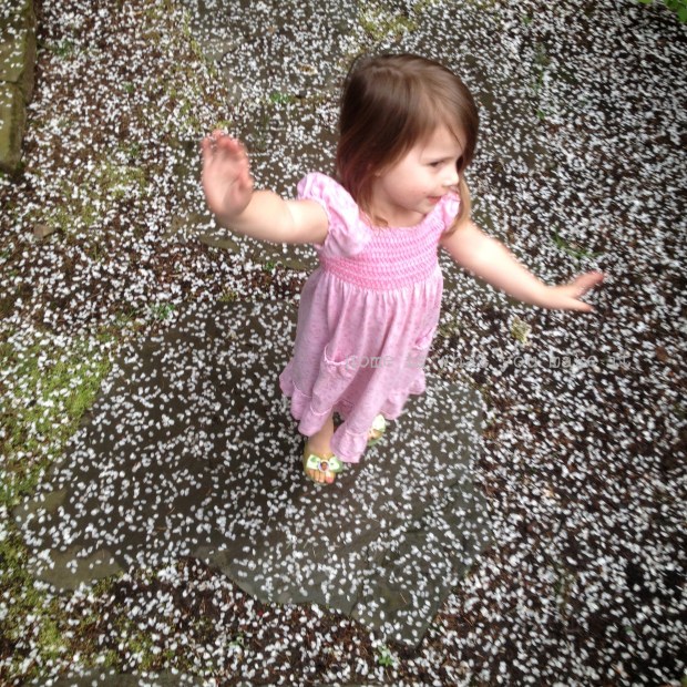 hello friday 4.5.2013 6