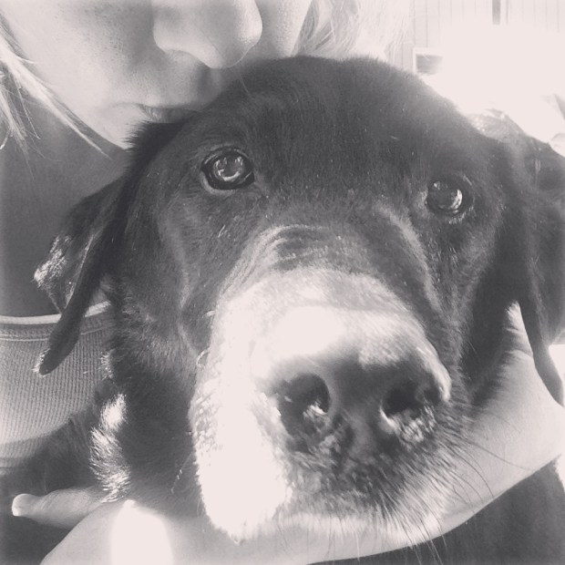 grand river hoji ben