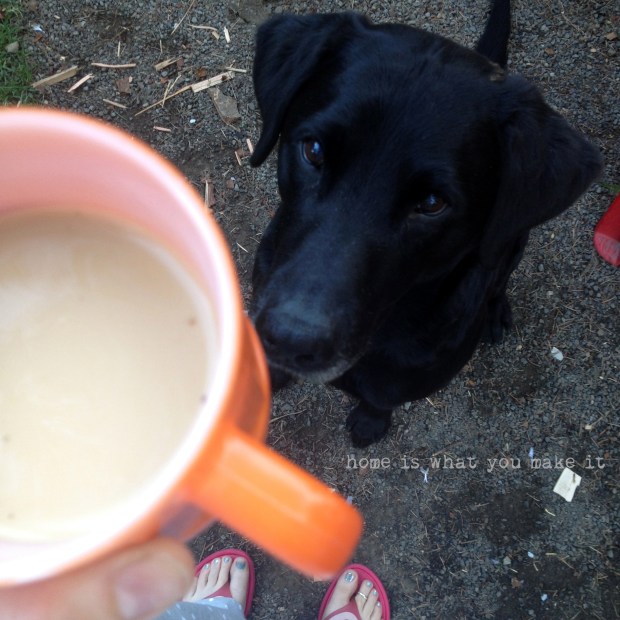 hello friday 4.5.2013 13